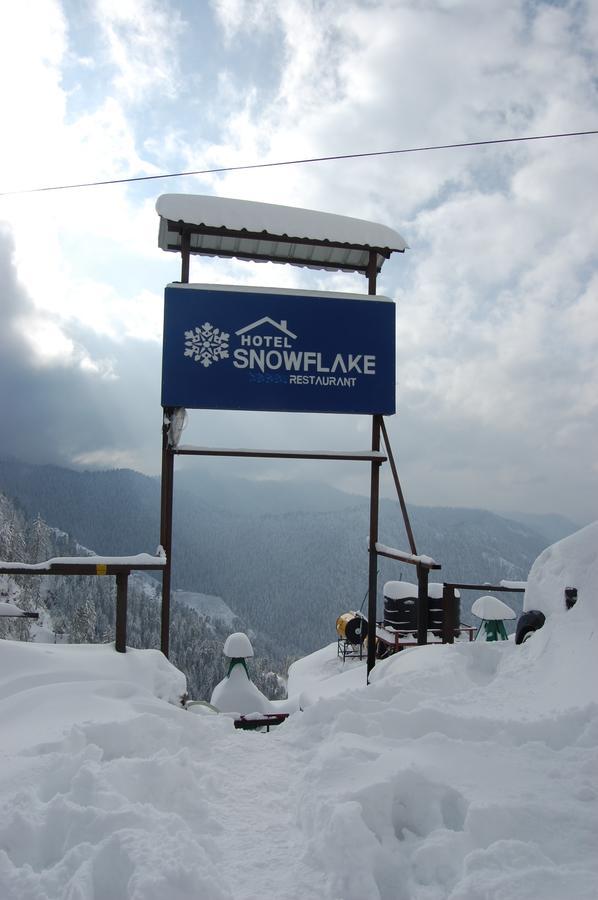 Hotel Snowflake นาร์กันดา ภายนอก รูปภาพ
